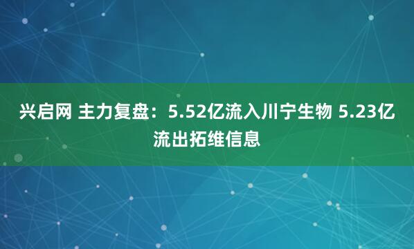兴启网 主力复盘：5.52亿流入川宁生物 5.23亿流出拓维信息