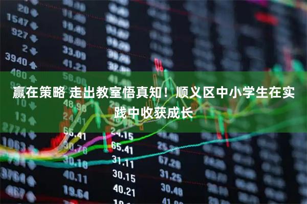 赢在策略 走出教室悟真知！顺义区中小学生在实践中收获成长