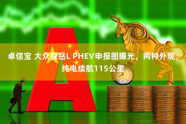 卓信宝 大众探岳L PHEV申报图曝光，两种外观，纯电续航115公里