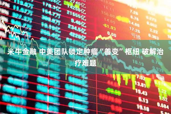 米牛金融 中美团队锁定肿瘤“善变”枢纽 破解治疗难题