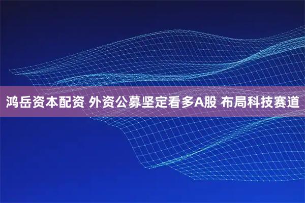 鸿岳资本配资 外资公募坚定看多A股 布局科技赛道