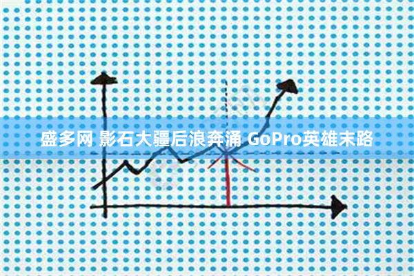 盛多网 影石大疆后浪奔涌 GoPro英雄末路