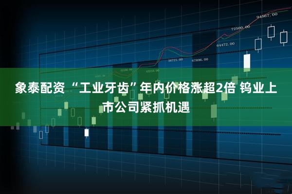 象泰配资 “工业牙齿”年内价格涨超2倍 钨业上市公司紧抓机遇